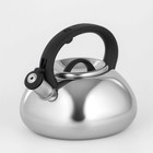 Чайник Доляна «Квант», 2.8 л, со свистком, фиксированная ручка, нержавеющая сталь, хромированный - Фото 2