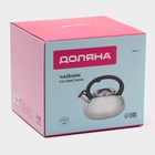 Чайник Доляна «Квант», 2.8 л, со свистком, фиксированная ручка, нержавеющая сталь, хромированный - Фото 12