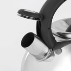 Чайник Доляна «Квант», 2.8 л, со свистком, фиксированная ручка, нержавеющая сталь, хромированный - Фото 4