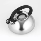 Чайник Доляна «Квант», 2.8 л, со свистком, фиксированная ручка, нержавеющая сталь, хромированный - Фото 6