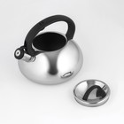 Чайник со свистком из нержавеющей стали Доляна «Квант», 2,8 л, фиксированная ручка, цвет хромированный - Фото 7