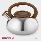 Чайник со свистком из нержавеющей стали Доляна «Квант», 2,8 л, фиксированная ручка soft-touch, цвет хромированный - фото 3650319
