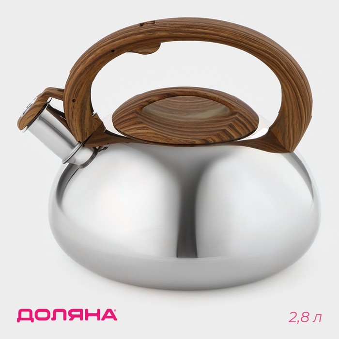 Чайник со свистком из нержавеющей стали Доляна «Квант», 2,8 л, фиксированная ручка soft-touch, цвет хромированный - Фото 1