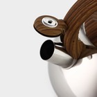 Чайник со свистком из нержавеющей стали Доляна «Квант», 2,8 л, фиксированная ручка soft-touch, цвет хромированный - фото 4606127