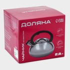 Чайник Доляна «Квант», 2.8 л, со свистком, фиксированная ручка soft-touch, нержавеющая сталь, хромированный - Фото 7