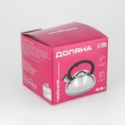 Чайник Доляна «Квант», 2.8 л, со свистком, фиксированная ручка soft-touch, нержавеющая сталь, хромированный - Фото 8