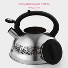 Чайник Доляна «Расцвет», 2.8 л, со свистком, фиксированная ручка, с индикатором нагрева, нержавеющая сталь, серебристый - Фото 2