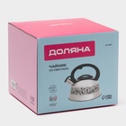 Чайник Доляна «Расцвет», 2.8 л, со свистком, фиксированная ручка, с индикатором нагрева, нержавеющая сталь, серебристый - Фото 10