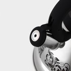 Чайник Доляна «Расцвет», 2.8 л, со свистком, фиксированная ручка, с индикатором нагрева, нержавеющая сталь, серебристый - Фото 3