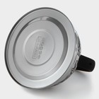 Чайник Доляна «Расцвет», 2.8 л, со свистком, фиксированная ручка, с индикатором нагрева, нержавеющая сталь, серебристый - Фото 5