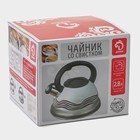 Чайник Доляна «Расцвет», 2.8 л, со свистком, фиксированная ручка, с индикатором нагрева, нержавеющая сталь, серебристый - Фото 7