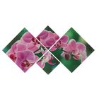 Картина модульная на подрамнике с подрамником "Орхидея розовая"  2-25х25,2-47х47, 70х135 см - Фото 1