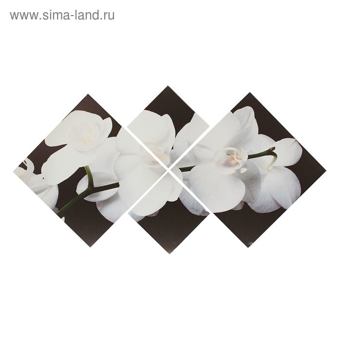 Картина модульная на подрамнике с подрамником "Орхидея белая"  2-25х25,2-47х47, 70х135 см - Фото 1