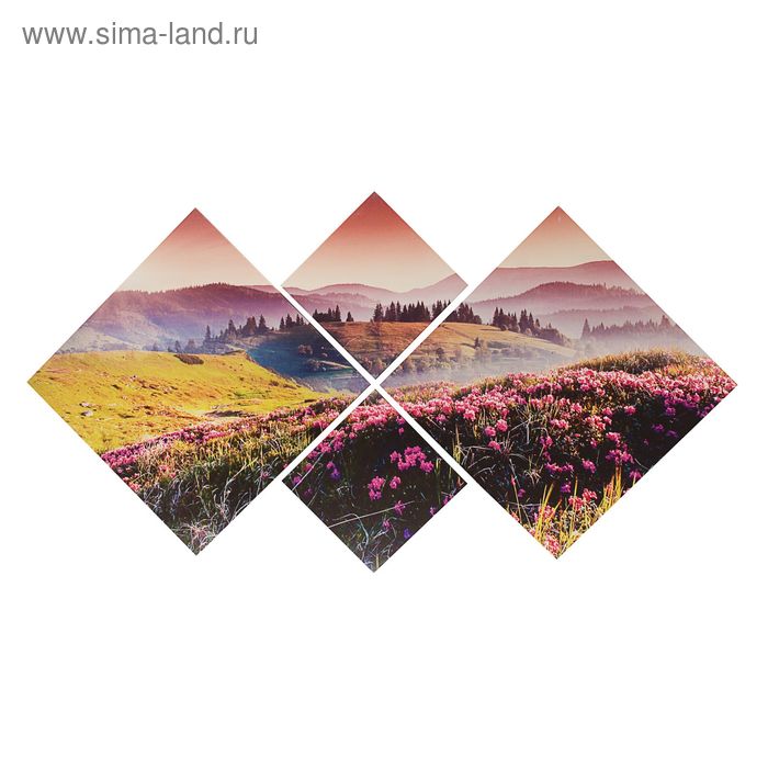 Картина модульная на подрамнике с подрамником "Цветы в горах" 2-25х25, 2-47х47, 70х135 см - Фото 1