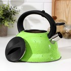 Чайник Доляна «Рио», 2.8 л, со свистком, фиксированная ручка, нержавеющая сталь, зелёный - Фото 2