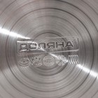 Чайник Доляна «Рио», 2.8 л, со свистком, фиксированная ручка, нержавеющая сталь, зелёный - Фото 8