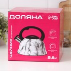 Чайник Доляна «Рио», 2.8 л, со свистком, фиксированная ручка, нержавеющая сталь, зелёный - Фото 9