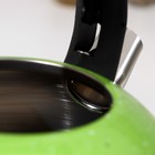 Чайник со свистком из нержавеющей стали Доляна «Рио», 2,8 л, фиксированная ручка, цвет зелёный - Фото 3