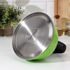 Чайник Доляна «Рио», 2.8 л, со свистком, фиксированная ручка, нержавеющая сталь, зелёный - Фото 4