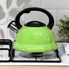 Чайник Доляна «Рио», 2.8 л, со свистком, фиксированная ручка, нержавеющая сталь, зелёный - Фото 5