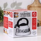 Чайник Доляна «Рио», 2.8 л, со свистком, фиксированная ручка, нержавеющая сталь, зелёный - Фото 6