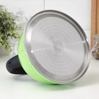 Чайник Доляна «Рио», 2.8 л, со свистком, фиксированная ручка, нержавеющая сталь, зелёный - Фото 7