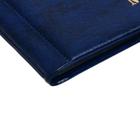 Альбом для монет 125 х 185 мм Calligrata, на 240 монет, ячейка 26 х 29 мм, 10 листов, обложка искусственная кожа, синий - Фото 6