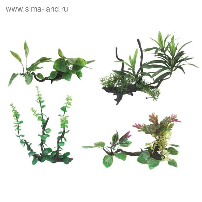 Растение иск. д/аквариума Wave Wonder Plant на коряге, 25-30 см, в ассорт. - Фото 1