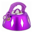 Чайник металлический De Luxe, 2,8 л, цвет МИКС - Фото 1