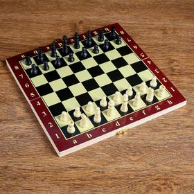 Настольная игра 3 в 1 "Карнал": нарды, шахматы, шашки, доска 20.5 х 20.5 см