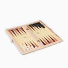 Настольная игра 3 в 1, набор: шахматы, шашки, нарды, 25×25 см - Фото 3