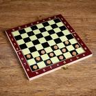 Настольная игра 3 в 1 "Карнал": нарды, шахматы, шашки, 20.5 х 20.5 см - фото 8212901