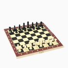 Настольная игра 3в1 "Карнал": нарды, шахматы, шашки, фишки дерево, фигуры пластик, 29 х 29 см - фото 3536182