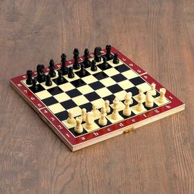 Настольная игра 3в1 "Карнал": нарды, шахматы, шашки, фишки дерево, фигуры пластик, 29 х 29 см