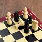 Настольная игра 3 в 1 "Карнал": нарды, шахматы, шашки, фишки дерево, фигуры пластик, 29 х 29 см 2731 - фото 8212909