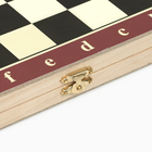 Шахматы, шашки, нарды, настольные игры, набор 3 в 1, 29×29 см - Фото 4