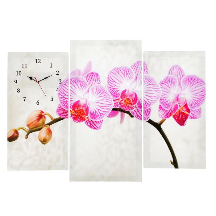 Часы настенные, модульные, серия: Цветы, &quot;Розовые цветки орхидеи&quot;, 60х80 см