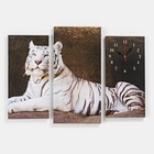 Часы настенные, модульные, серия: Животный мир, "Белый тигр", 60х80 см - фото 317955584