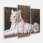 Часы настенные, модульные, серия: Животный мир, "Белый тигр", 60х80 см - фото 9822617