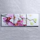 Часы настенные, модульные, серия: Цветы, "Орхидеи", 35х110  см - фото 2850659