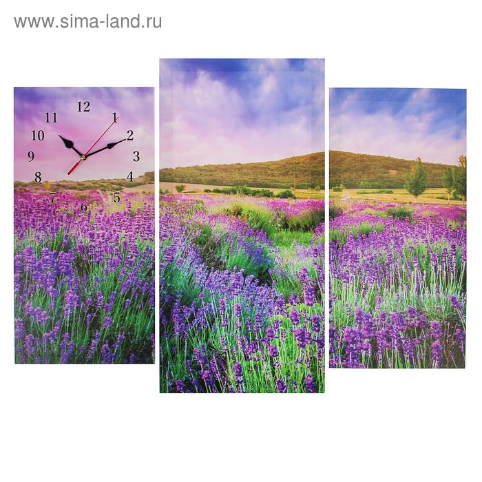 Часы настенные, модульные, серия: Природа, "Цветочное поле", 60х80см - Фото 1