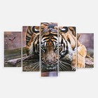Часы настенные, модульные, серия: Животный мир, "Тигр", 80х140  см - фото 8524301
