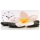 Часы-картина настенные, серия: Цветы, "Белый цветок на камнях", 40 х 76 см - фото 317955776