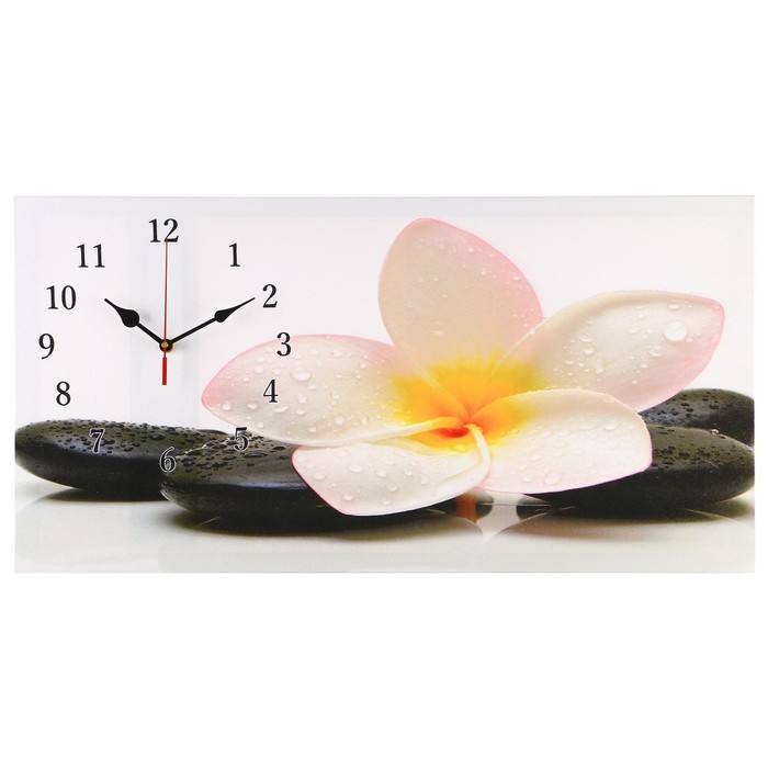 Часы-картина настенные, серия: Цветы, "Белый цветок на камнях", 40 х 76 см - Фото 1