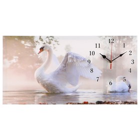 Часы-картина настенные, на холсте, интерьерные, бесшумные "Белый лебедь", 40 х 76 см