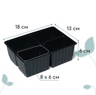 Кассета для рассады, 4 ячейки по 180 мл, пластик, чёрная, 18×13×6 см, набор 10 шт., Greengo - Фото 2