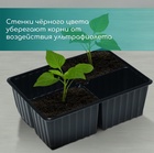 Кассета для рассады, 4 ячейки по 180 мл, пластик, чёрная, 18×13×6 см, набор 10 шт., Greengo - Фото 4