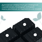 Кассета для рассады, 4 ячейки по 180 мл, пластик, чёрная, 18×13×6 см, набор 10 шт., Greengo - Фото 6