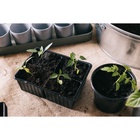 Кассета для рассады, 4 ячейки по 180 мл, пластик, чёрная, 18×13×6 см, набор 10 шт., Greengo - Фото 7