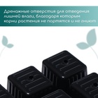 Кассета для рассады, 6 ячеек по 120 мл, пластик, чёрная, 18×13×6 см, набор 10 шт., Greengo - Фото 6
